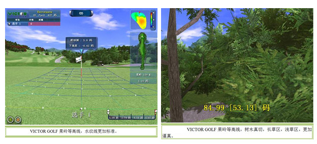 Paron(VICTOR) GOLF模拟高尔夫果岭